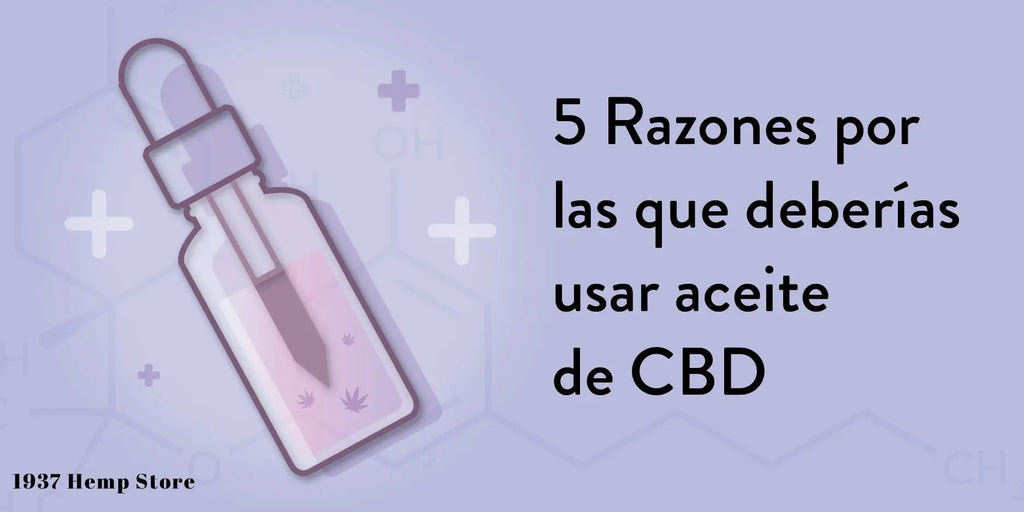 5 razones por las que deberías usar aceite de CBD