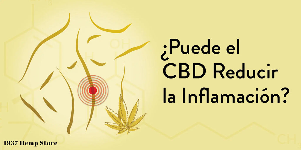 ¿El CBD puede reducir la inflamación?