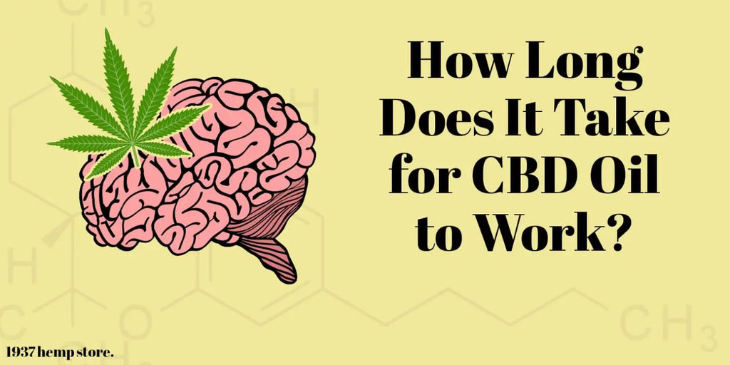 How Long Does It Take for CBD Oil to Work?