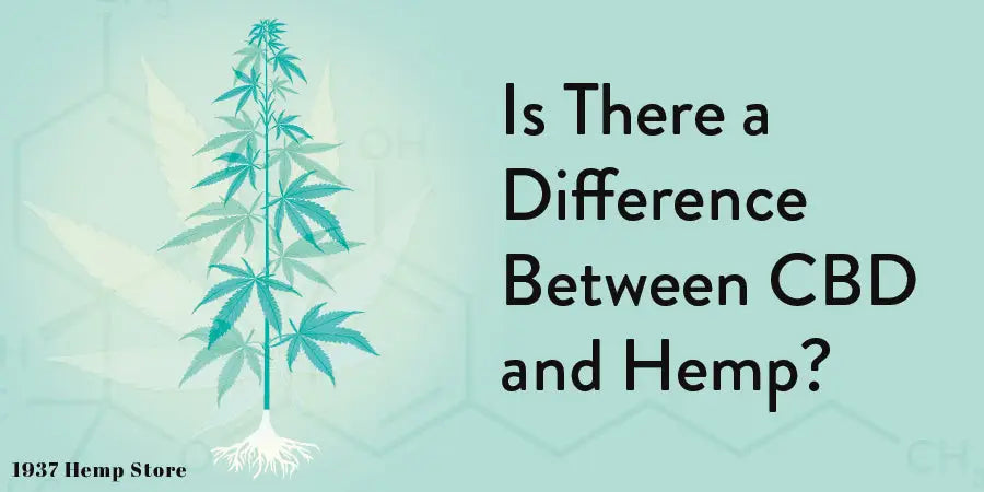 Difference CBD & Hemp