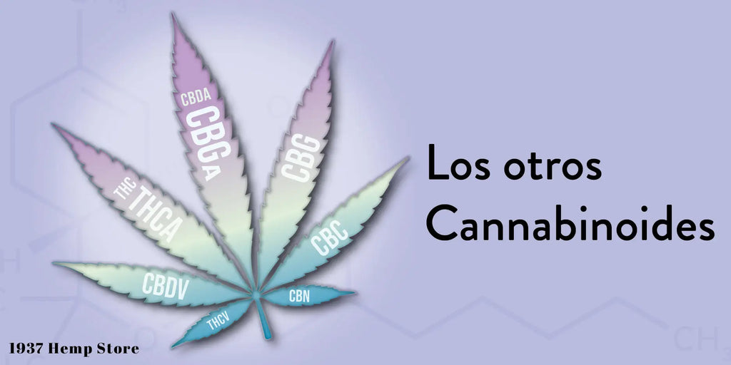 Los ’Otros’ Cannabinoides