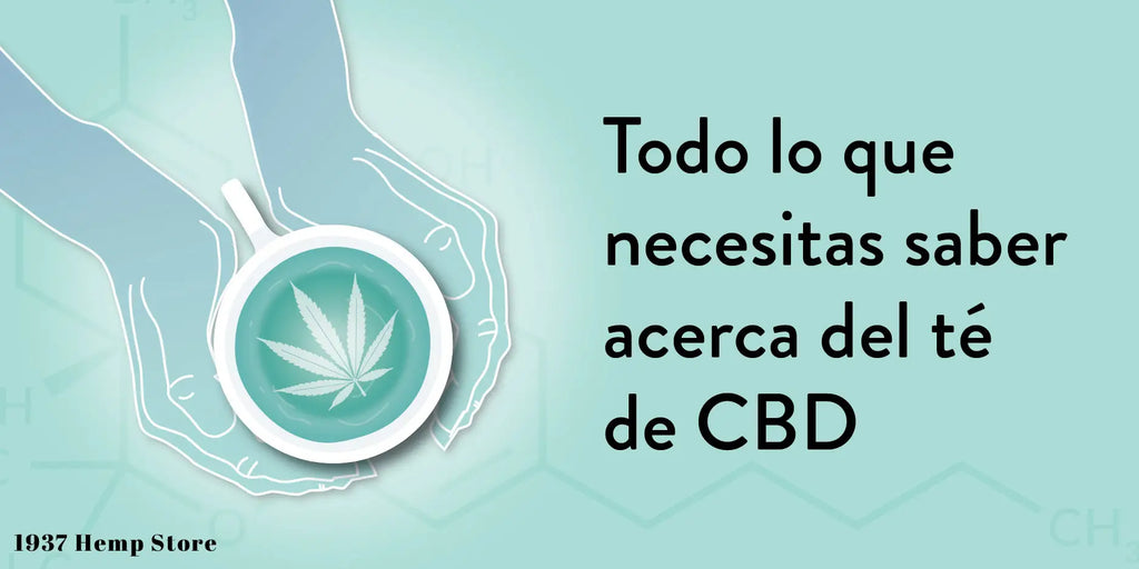 Todo lo que necesitas saber sobre el té de CBD