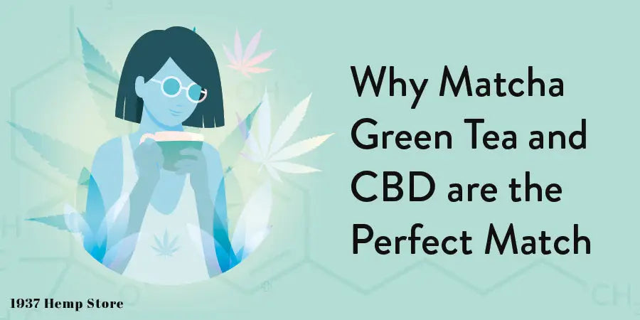 CBD and Matcha Green Tea