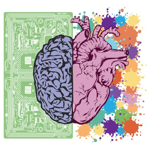 CBD Affects Brain Chemistry