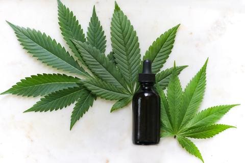 CBD tincture and hemp leaf